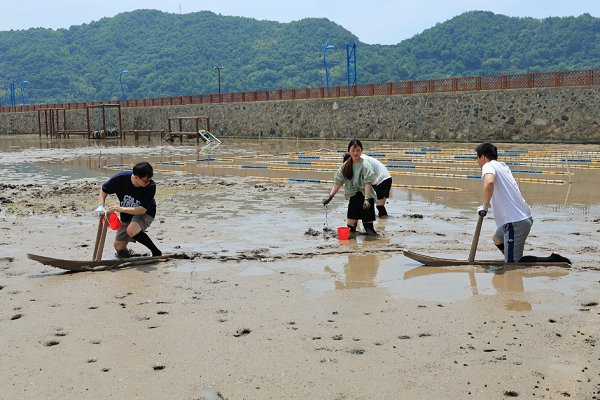 1756799818804436.png 4.png