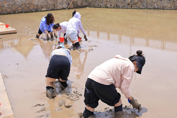 1756799851999456.png 6.png