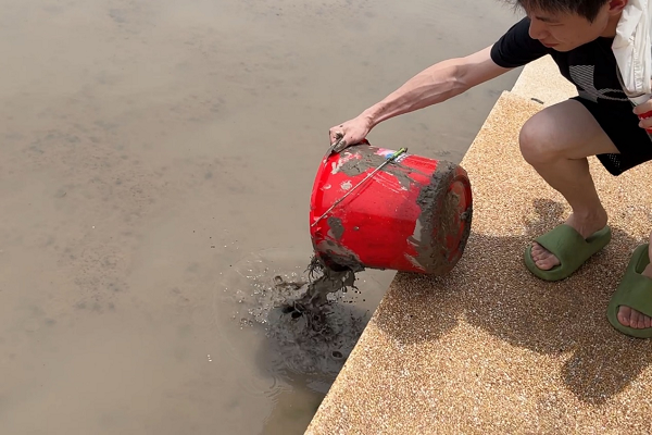 1756799866451661.png 9.png